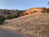 42098 Black Oak Dr photo